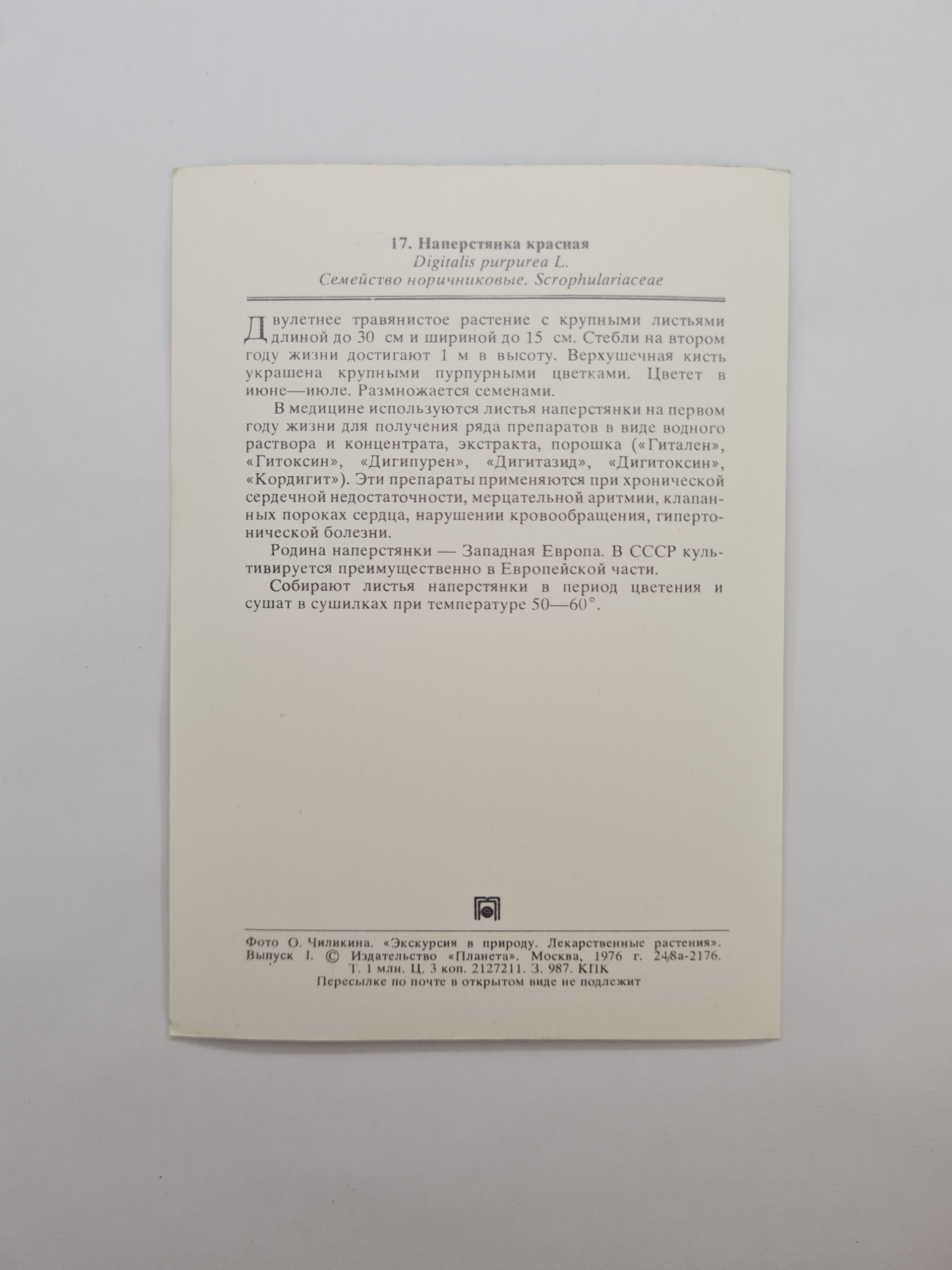 Картинка 2