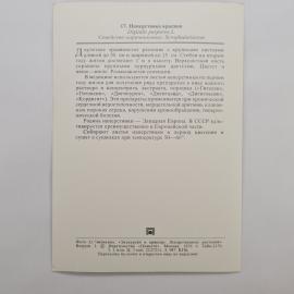 Картинка 2