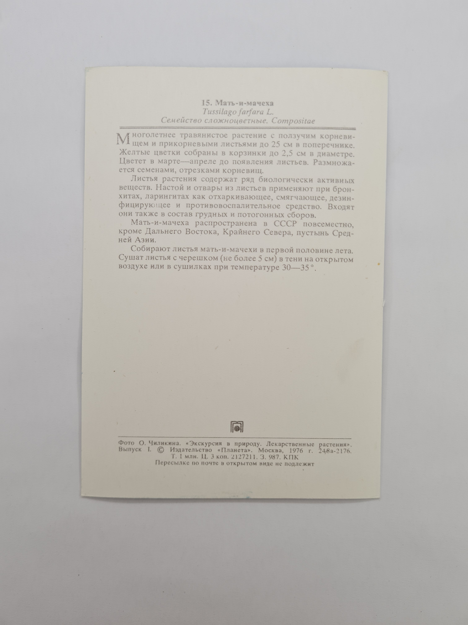 Картинка 2