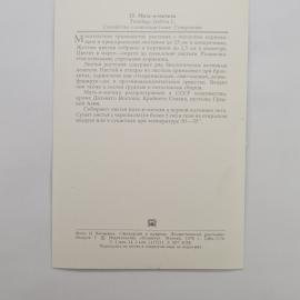 Картинка 2