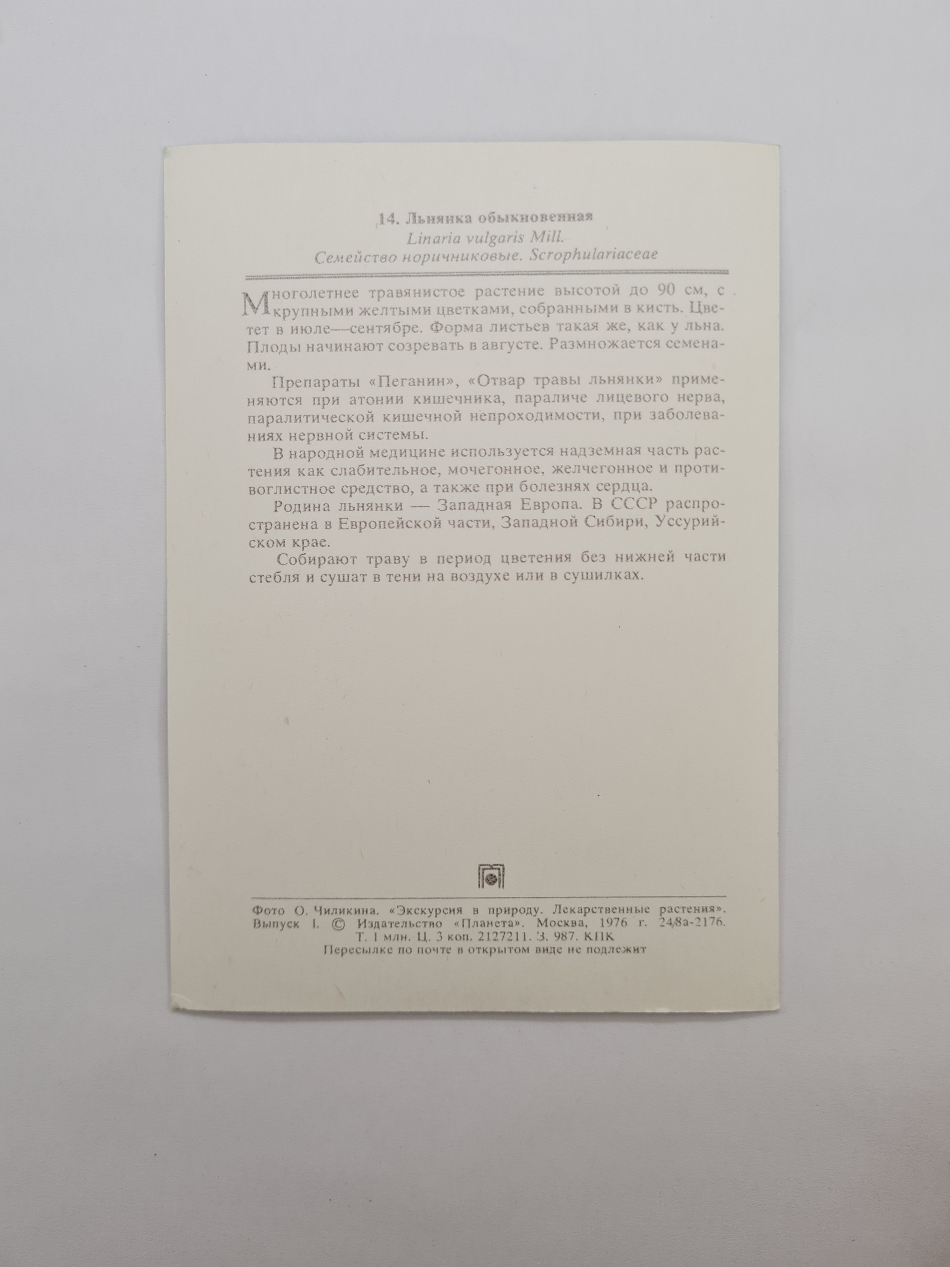 Картинка 2