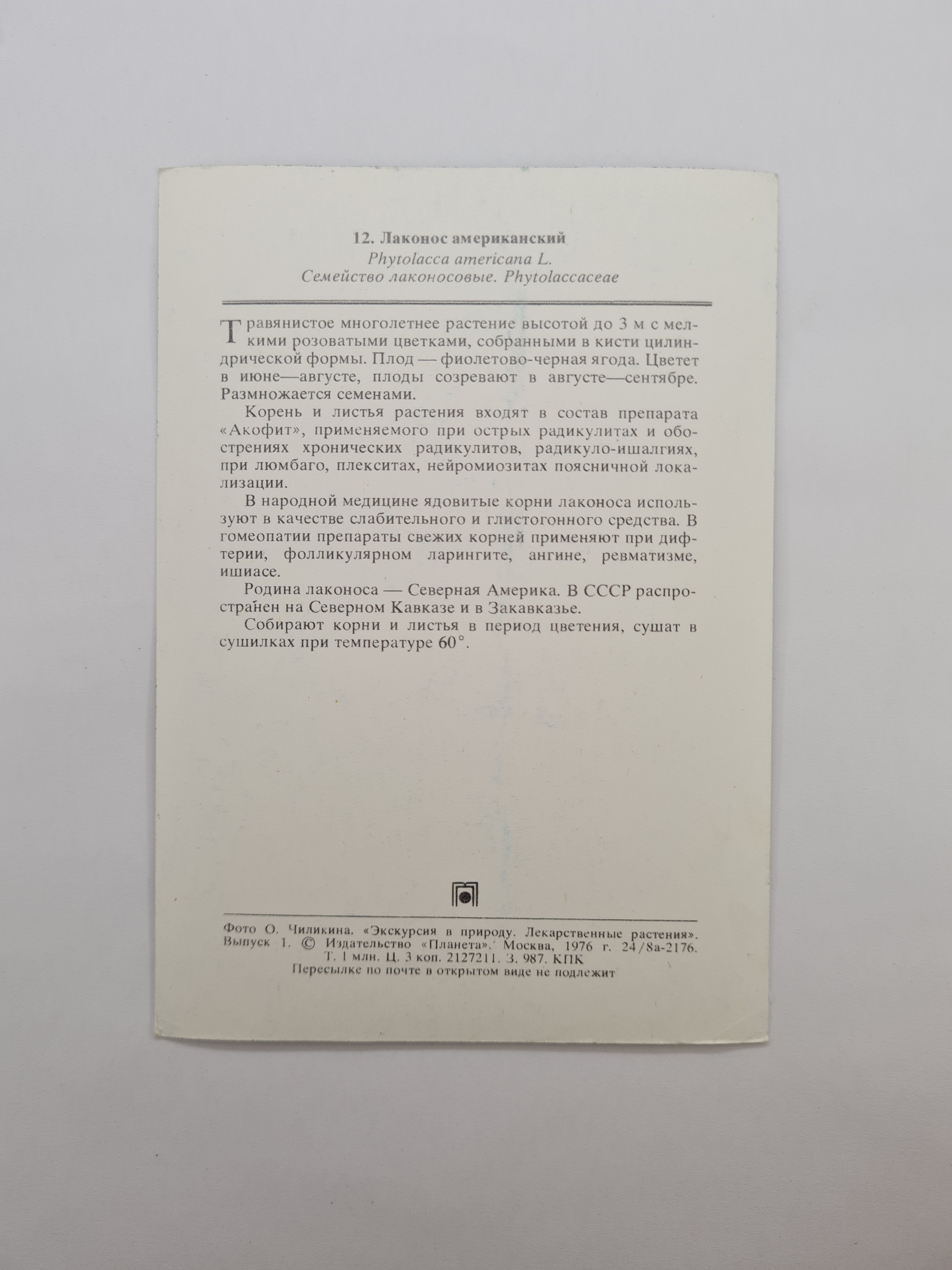 Картинка 2