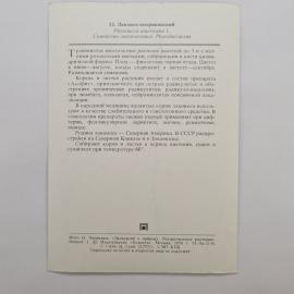 Картинка 2