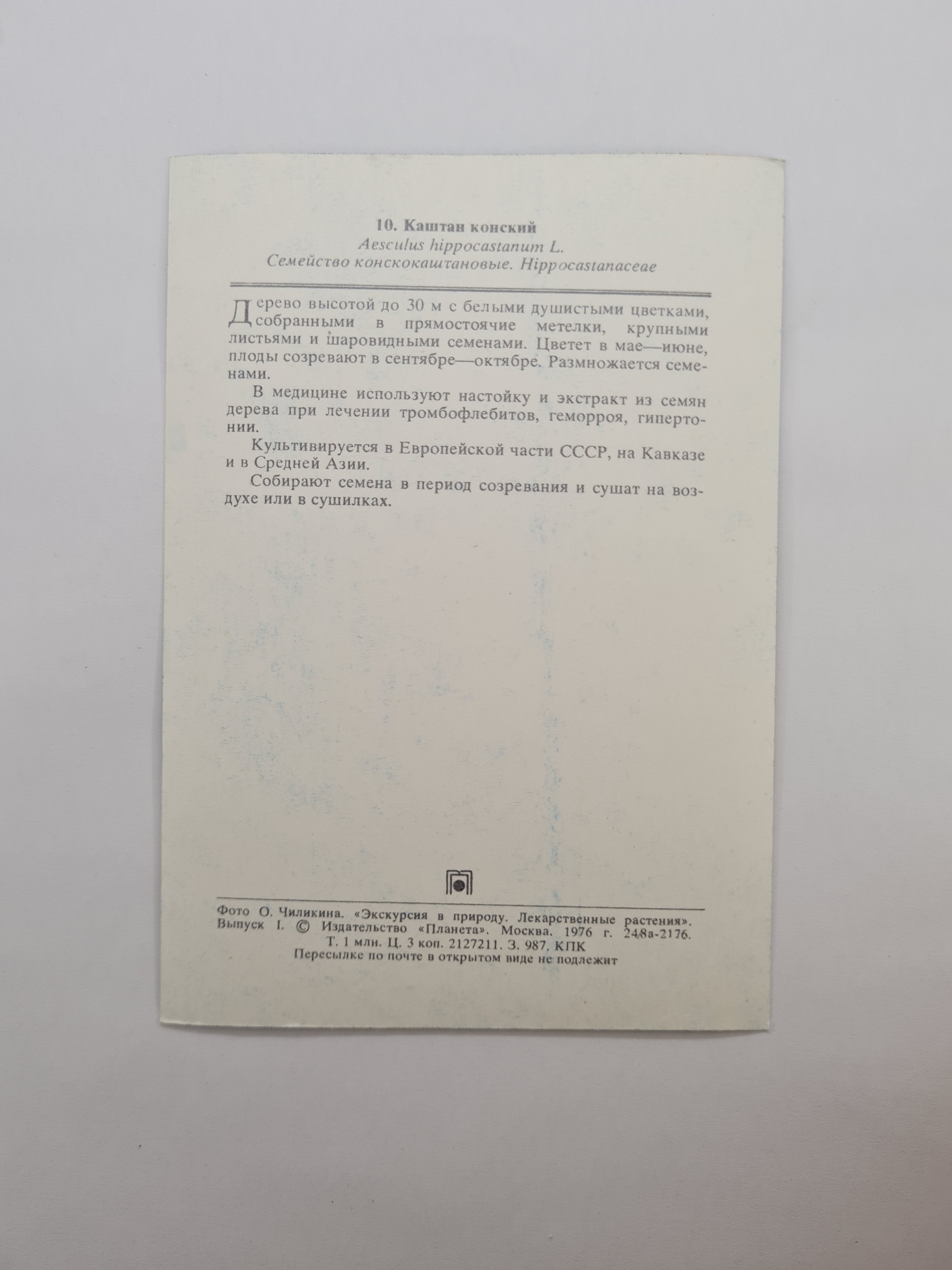 Картинка 2