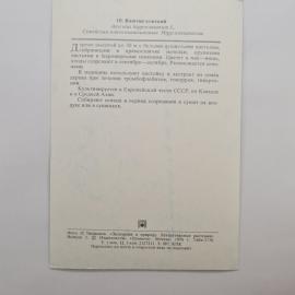 Картинка 2