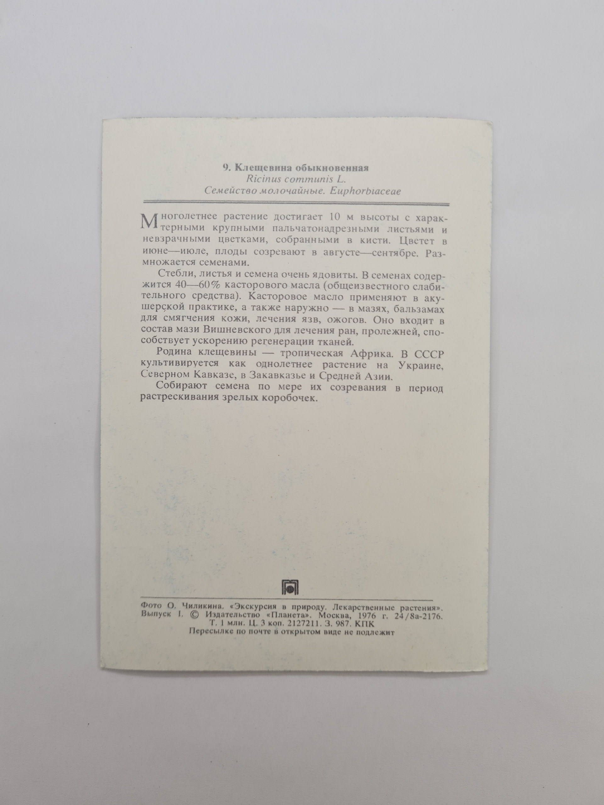 Картинка 2