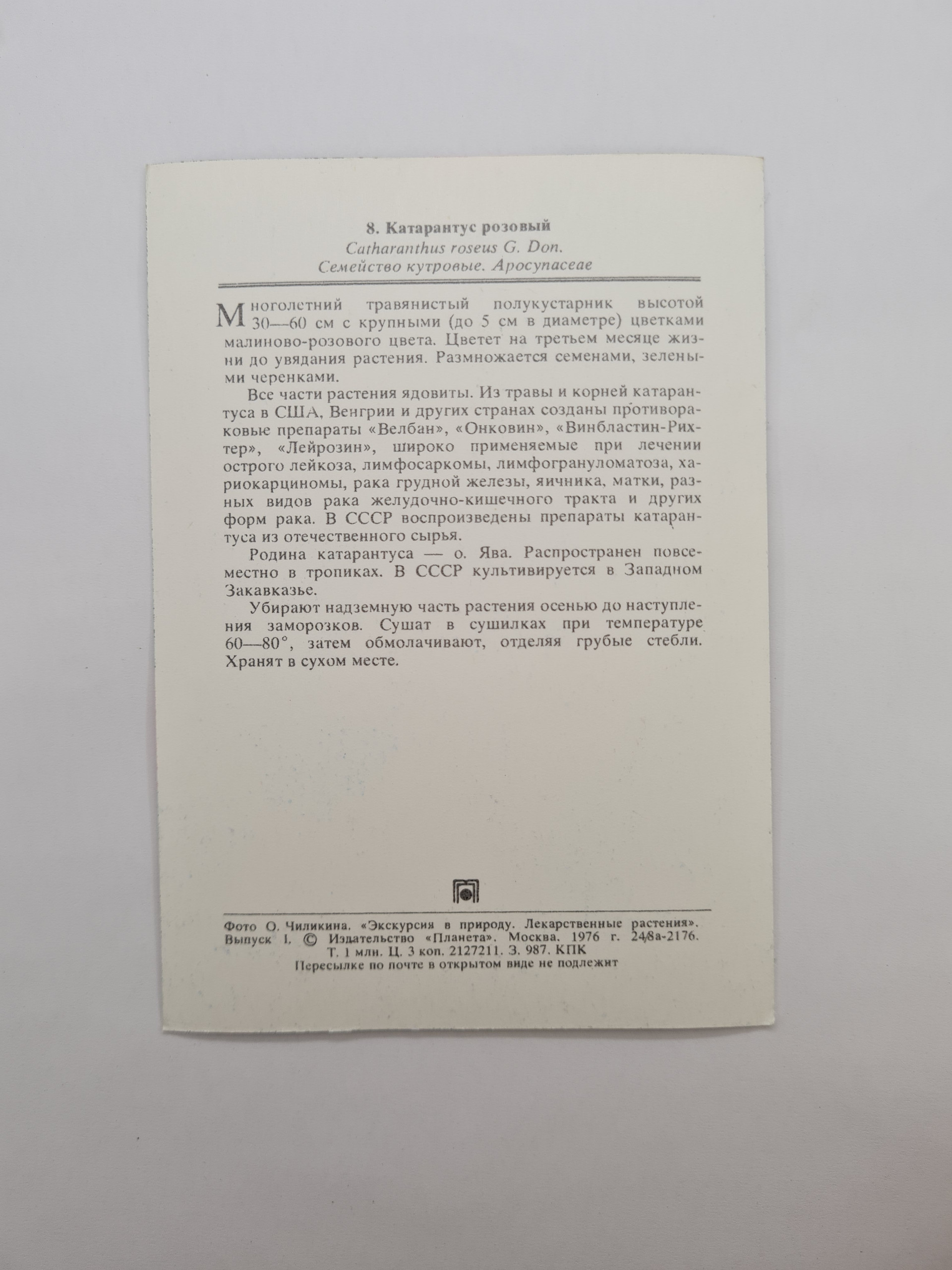 Картинка 2