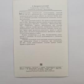 Картинка 2