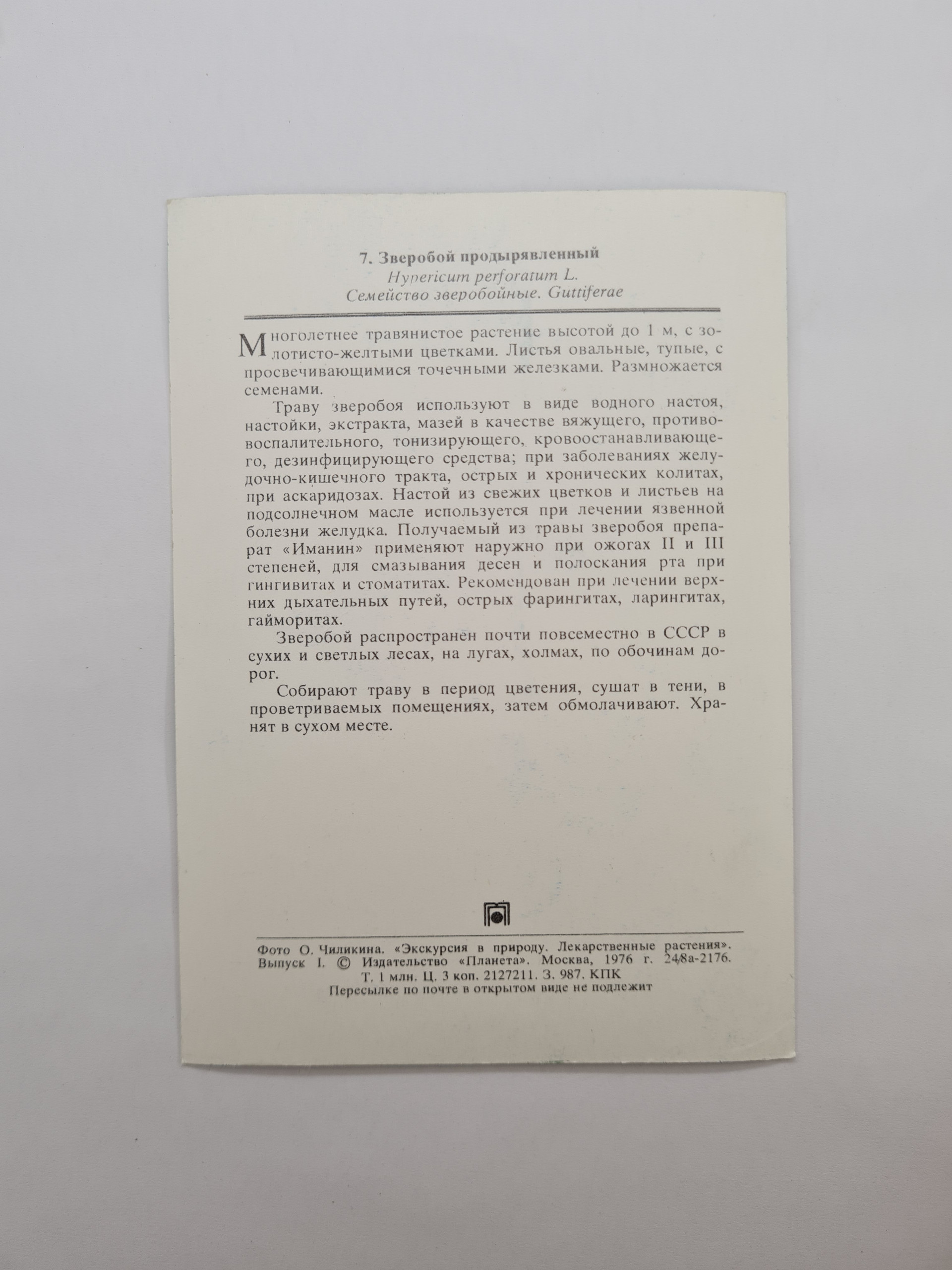 Картинка 2