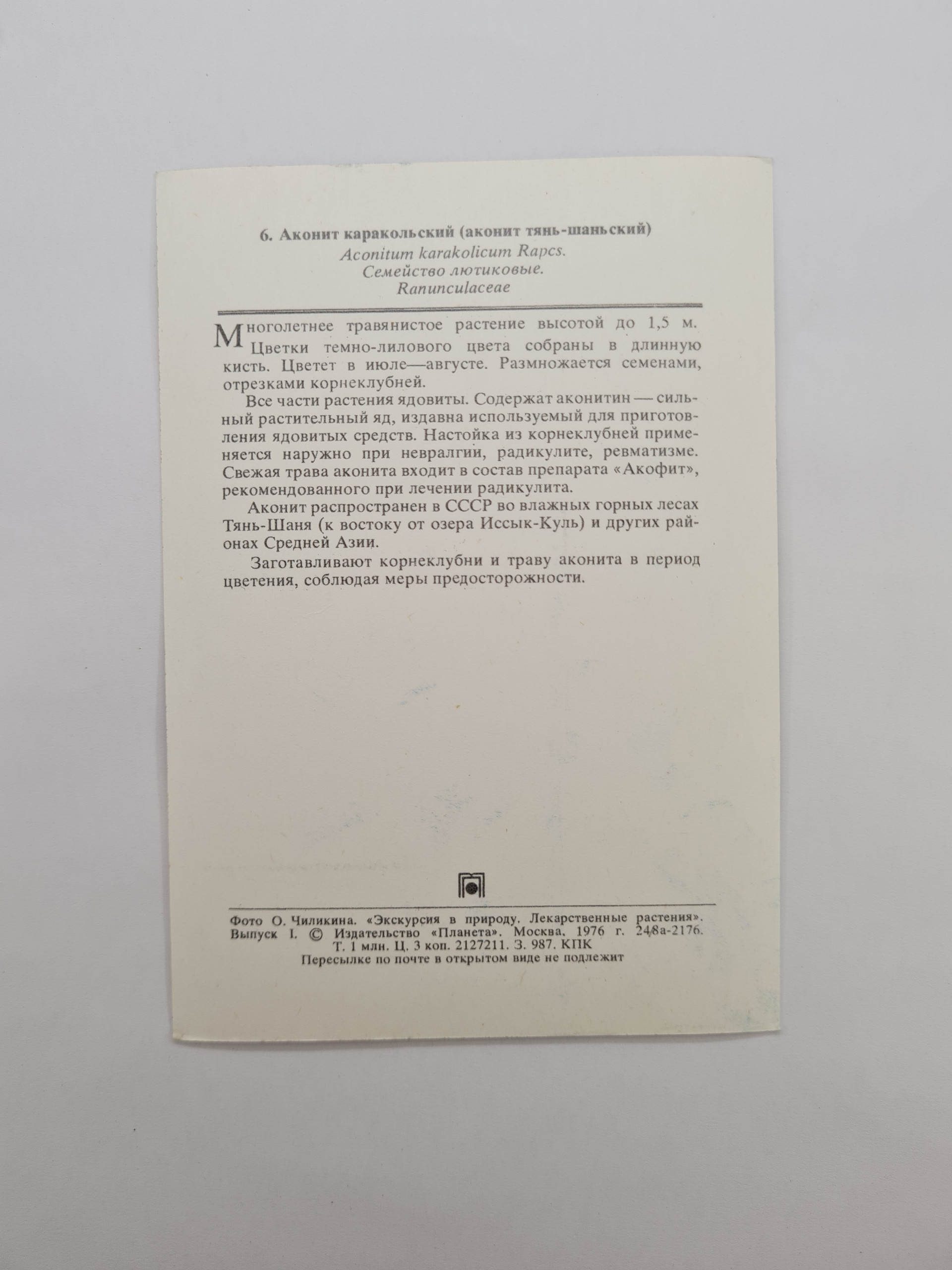 Картинка 2