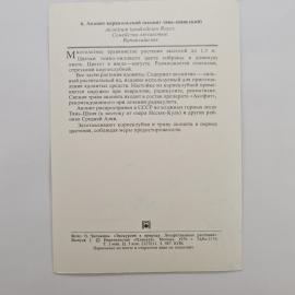 Картинка 2