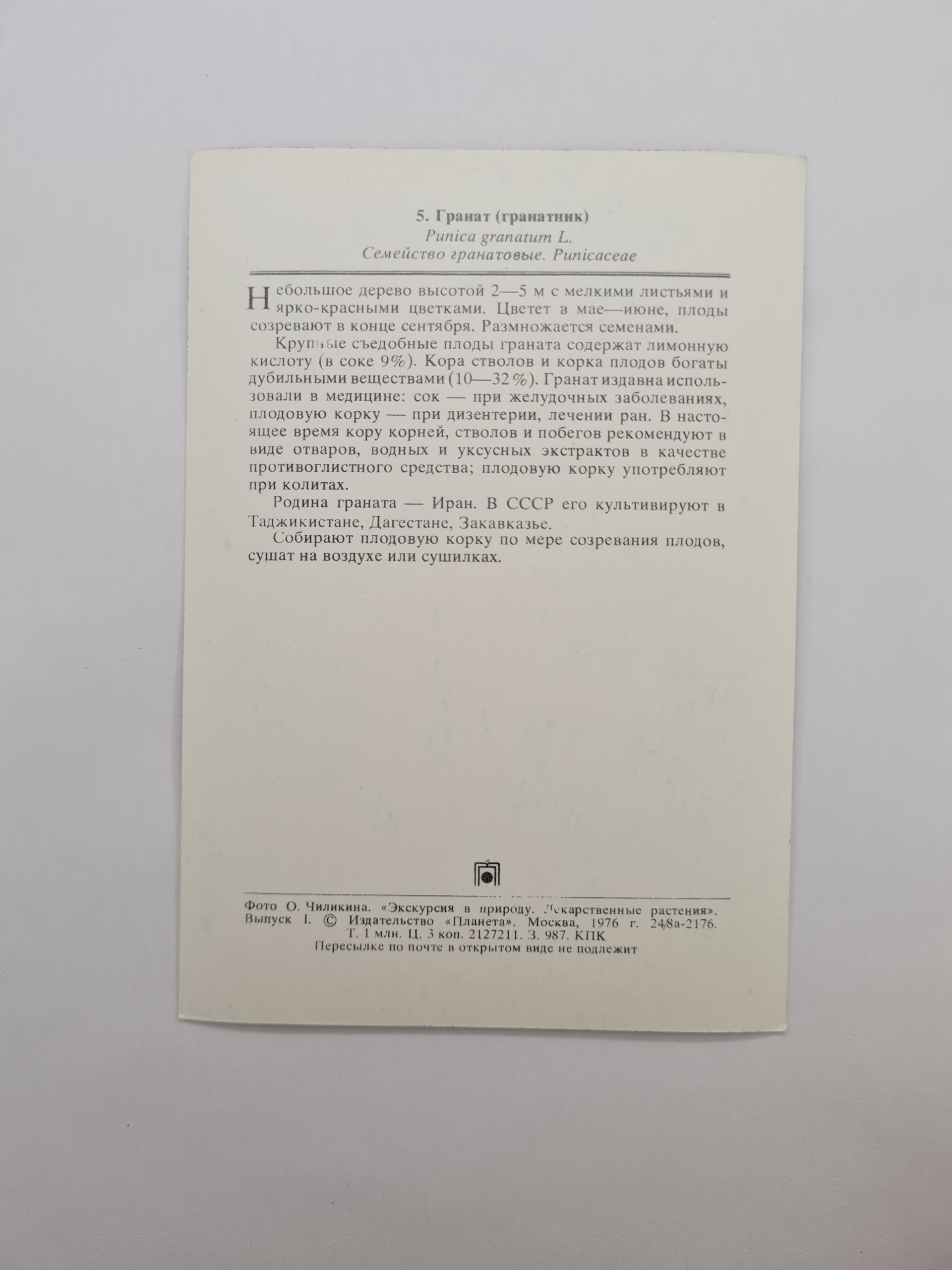 Картинка 2