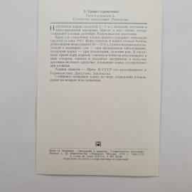 Картинка 2