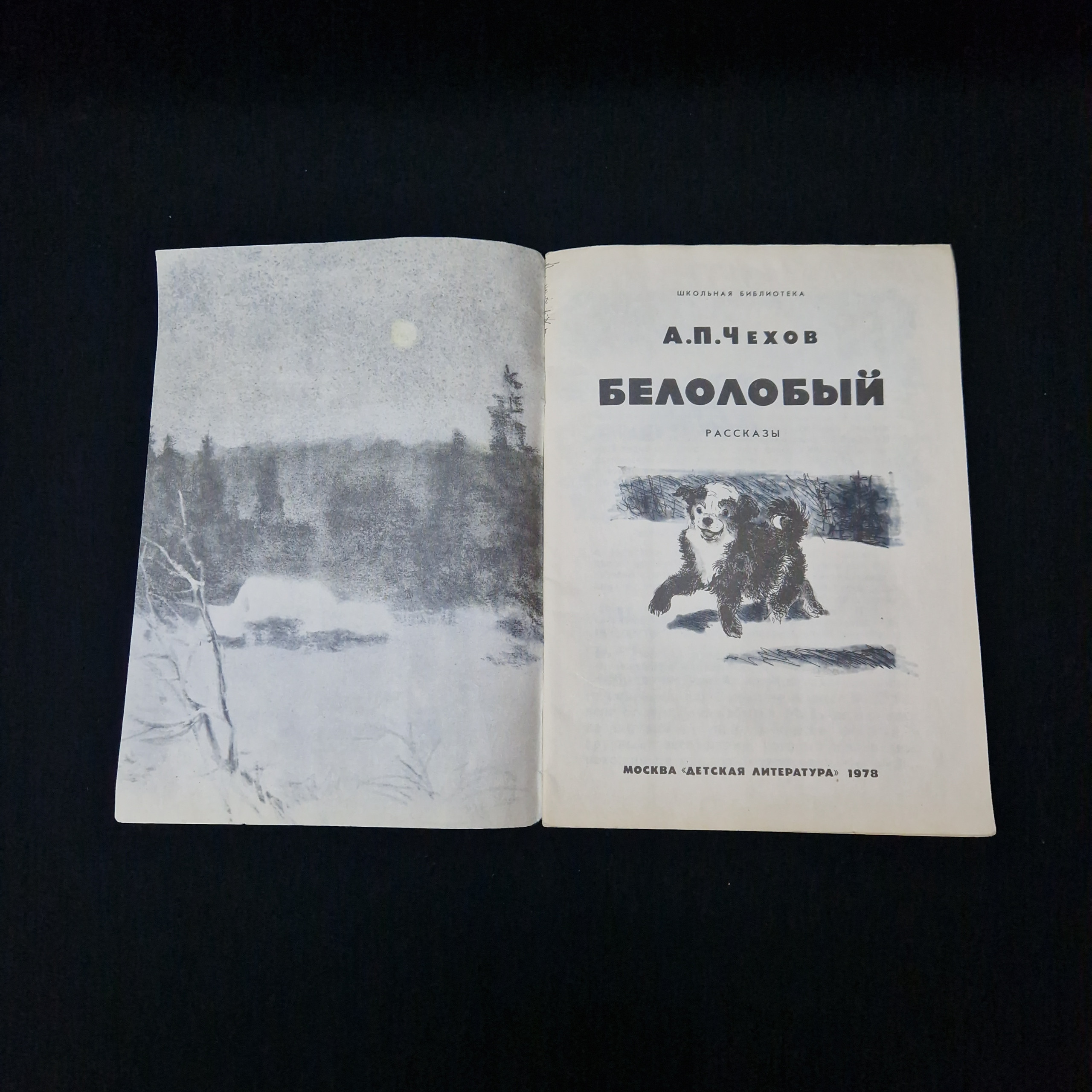 Картинка 3