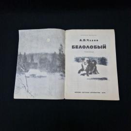 Картинка 3