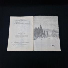 Картинка 5