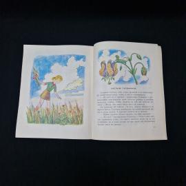 Картинка 4