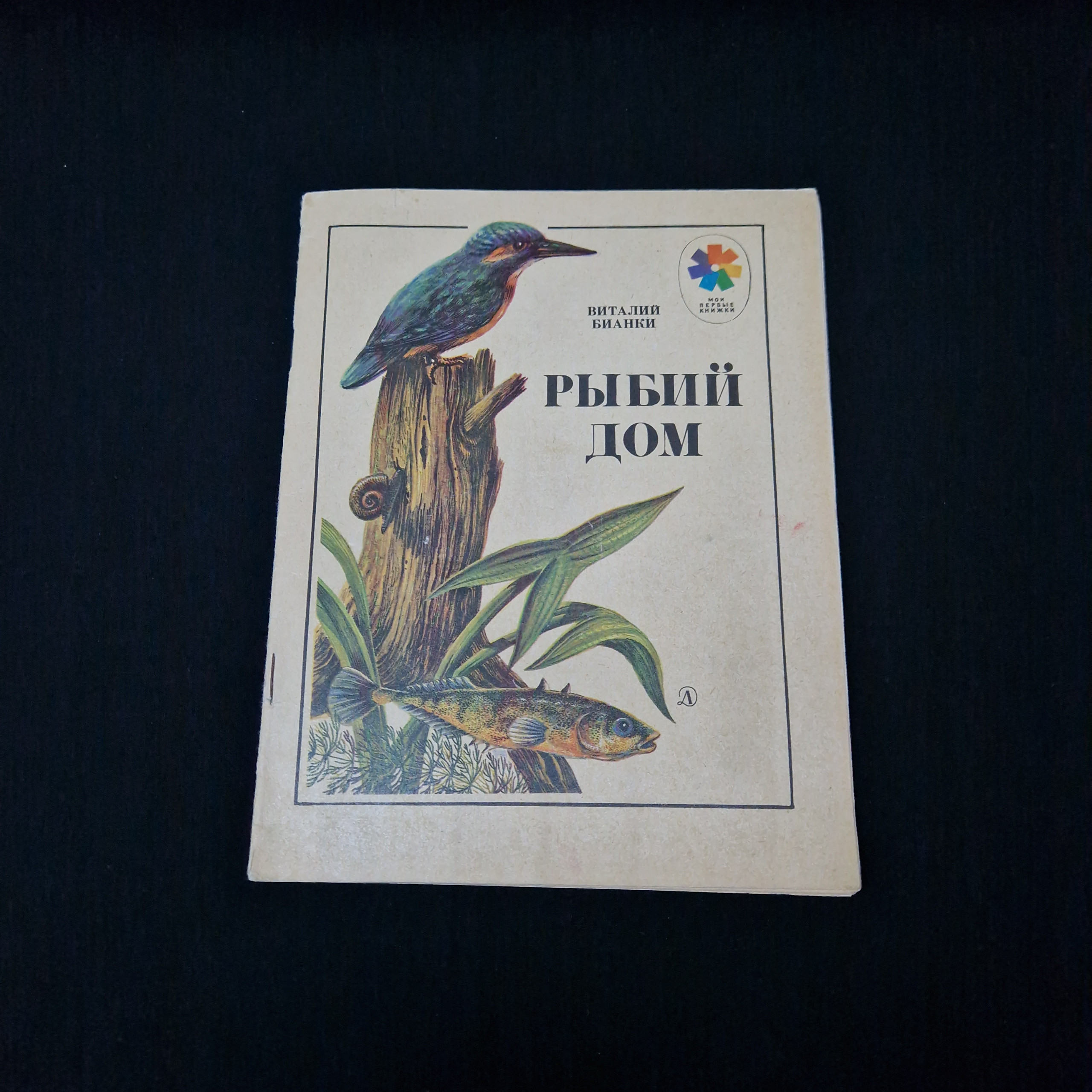 Картинка 1