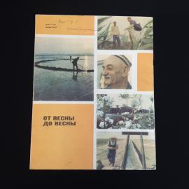Картинка 2