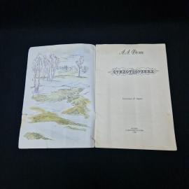Картинка 3