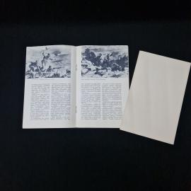 Картинка 5