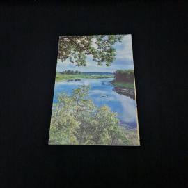 Картинка 2