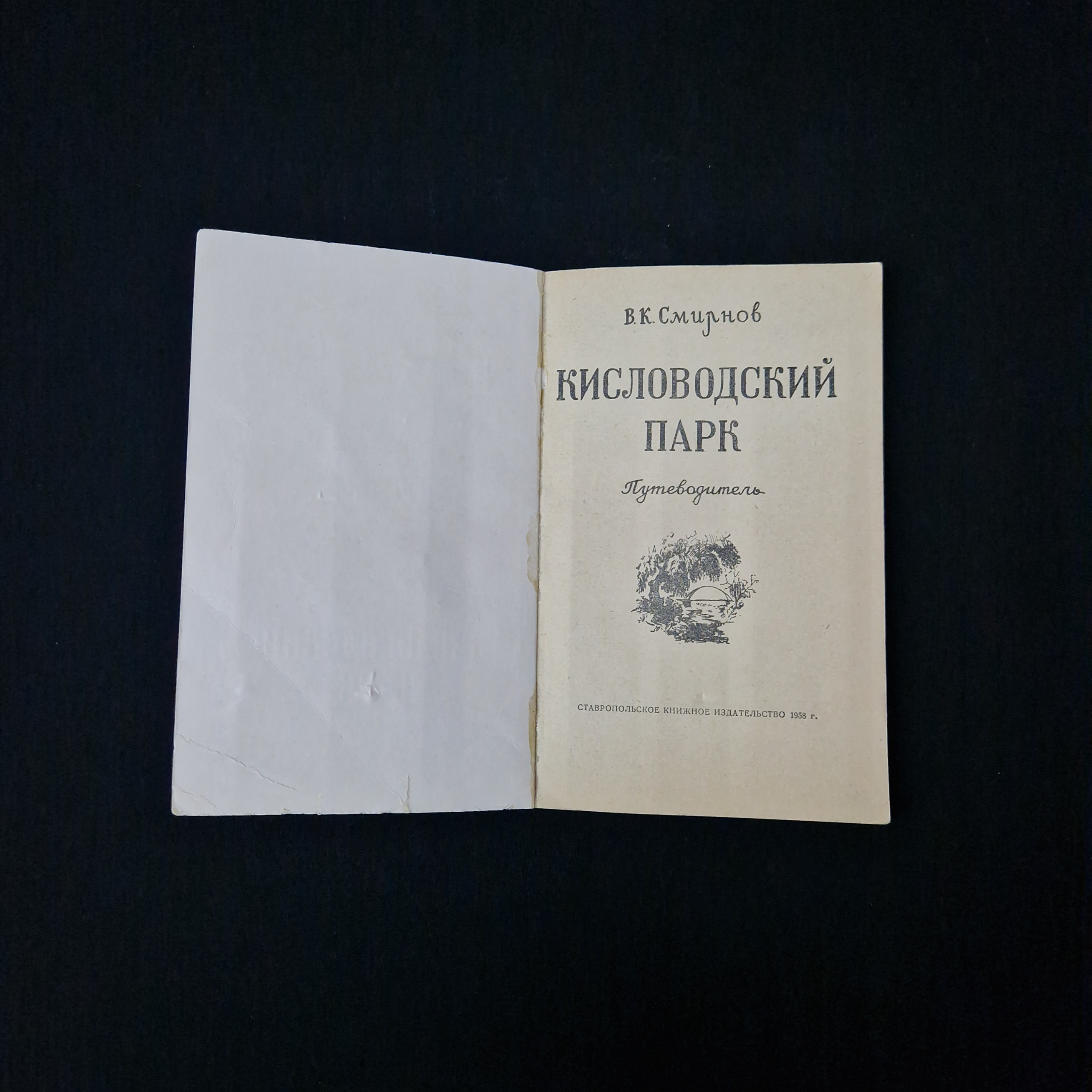 Картинка 3