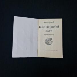 Картинка 3