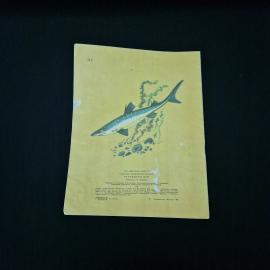 Картинка 2
