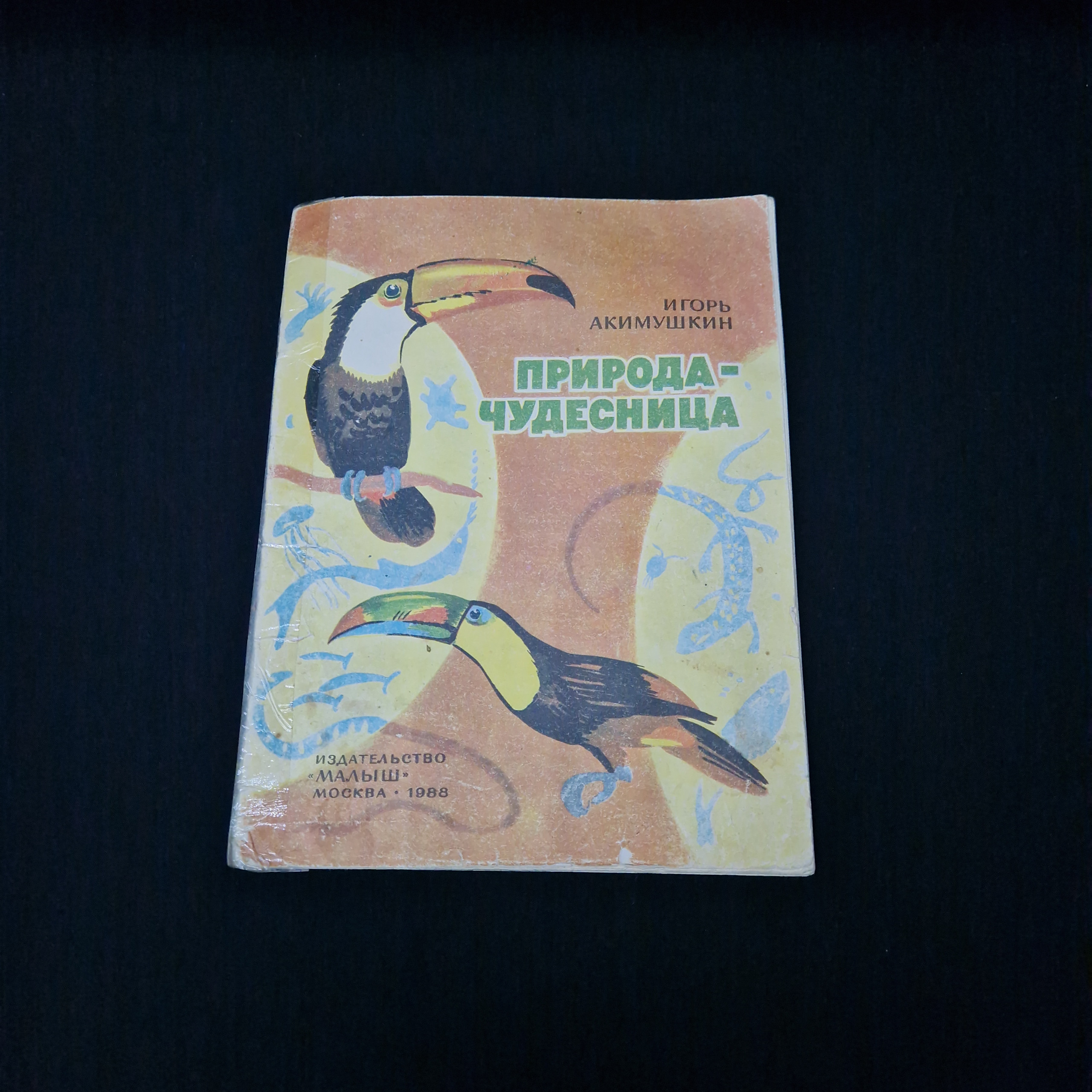 Картинка 1