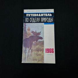 Картинка 1