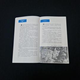 Картинка 4