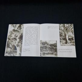 Картинка 4