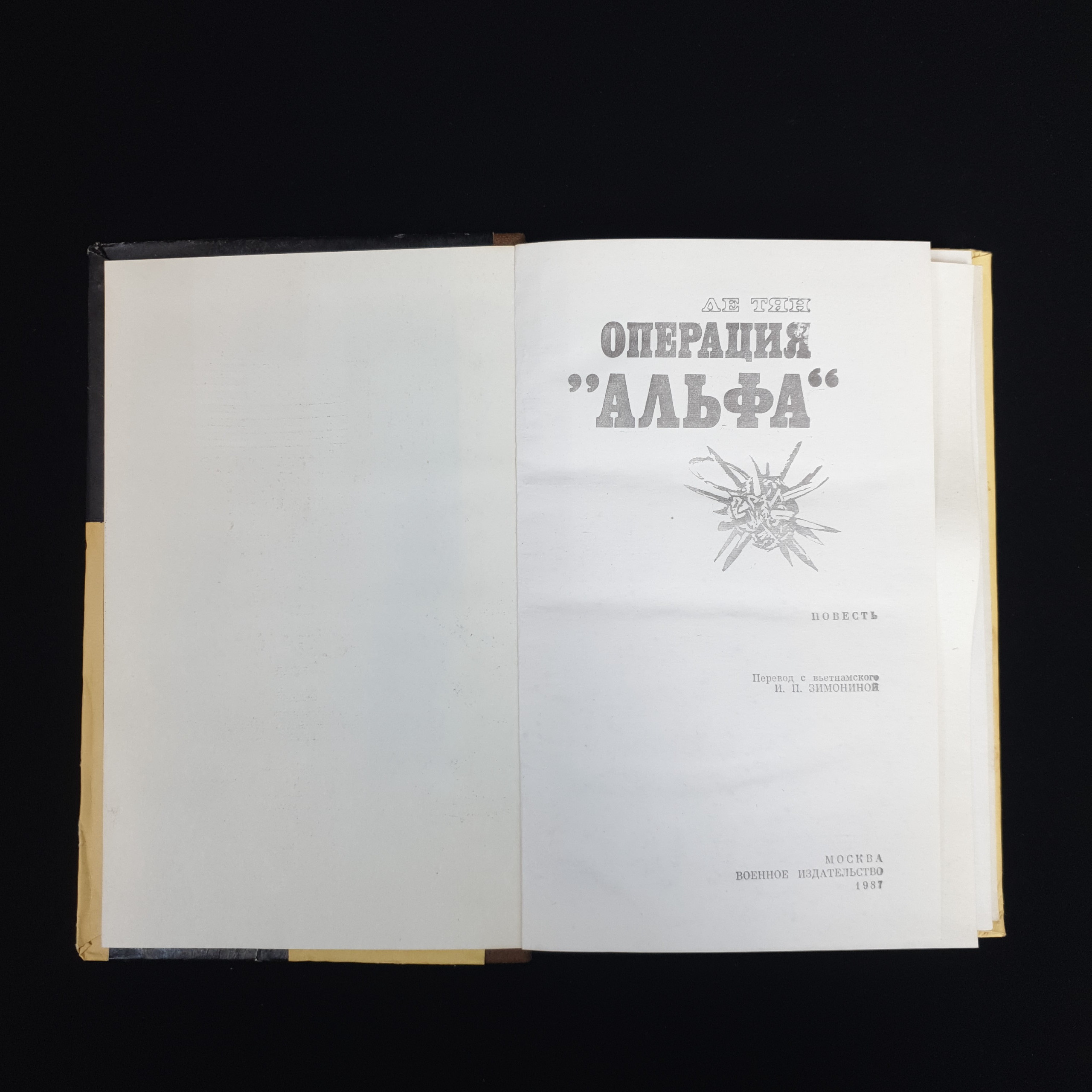 Картинка 4