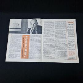 Картинка 4
