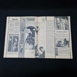 Картинка 4