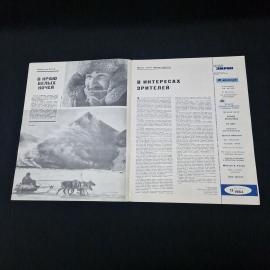 Картинка 3