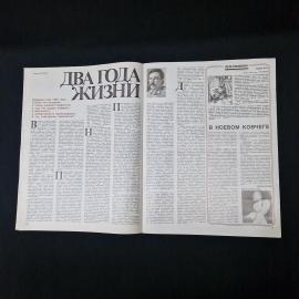 Картинка 4