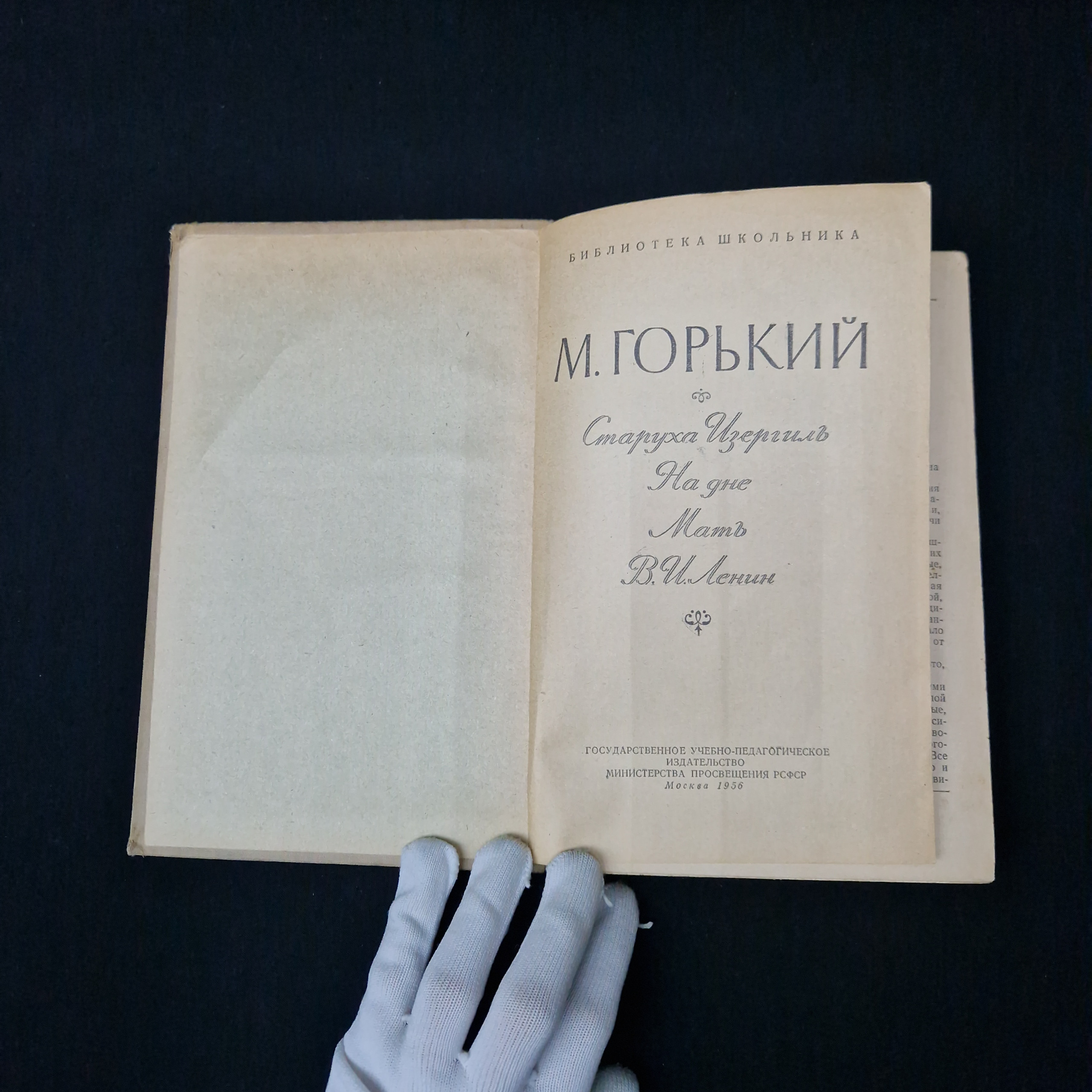 Картинка 5