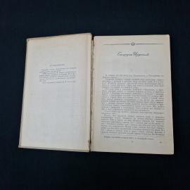 Картинка 6