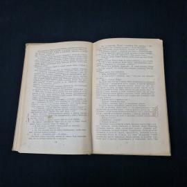 Картинка 7