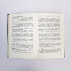 Картинка 5