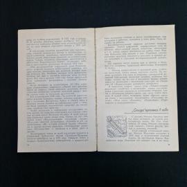 Картинка 4