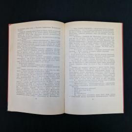 Картинка 4