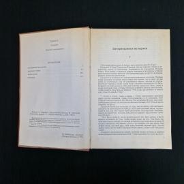 Картинка 5