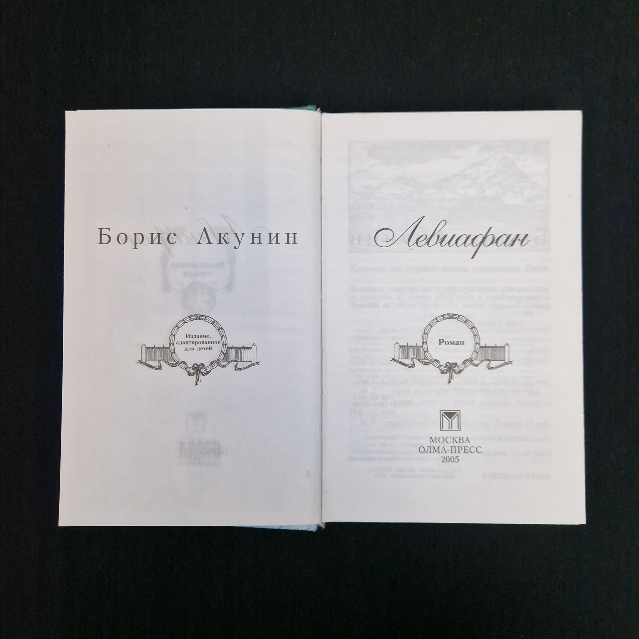 Картинка 4