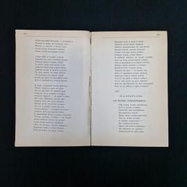 Картинка 5