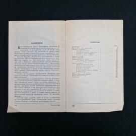 Картинка 6