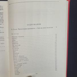 Картинка 6