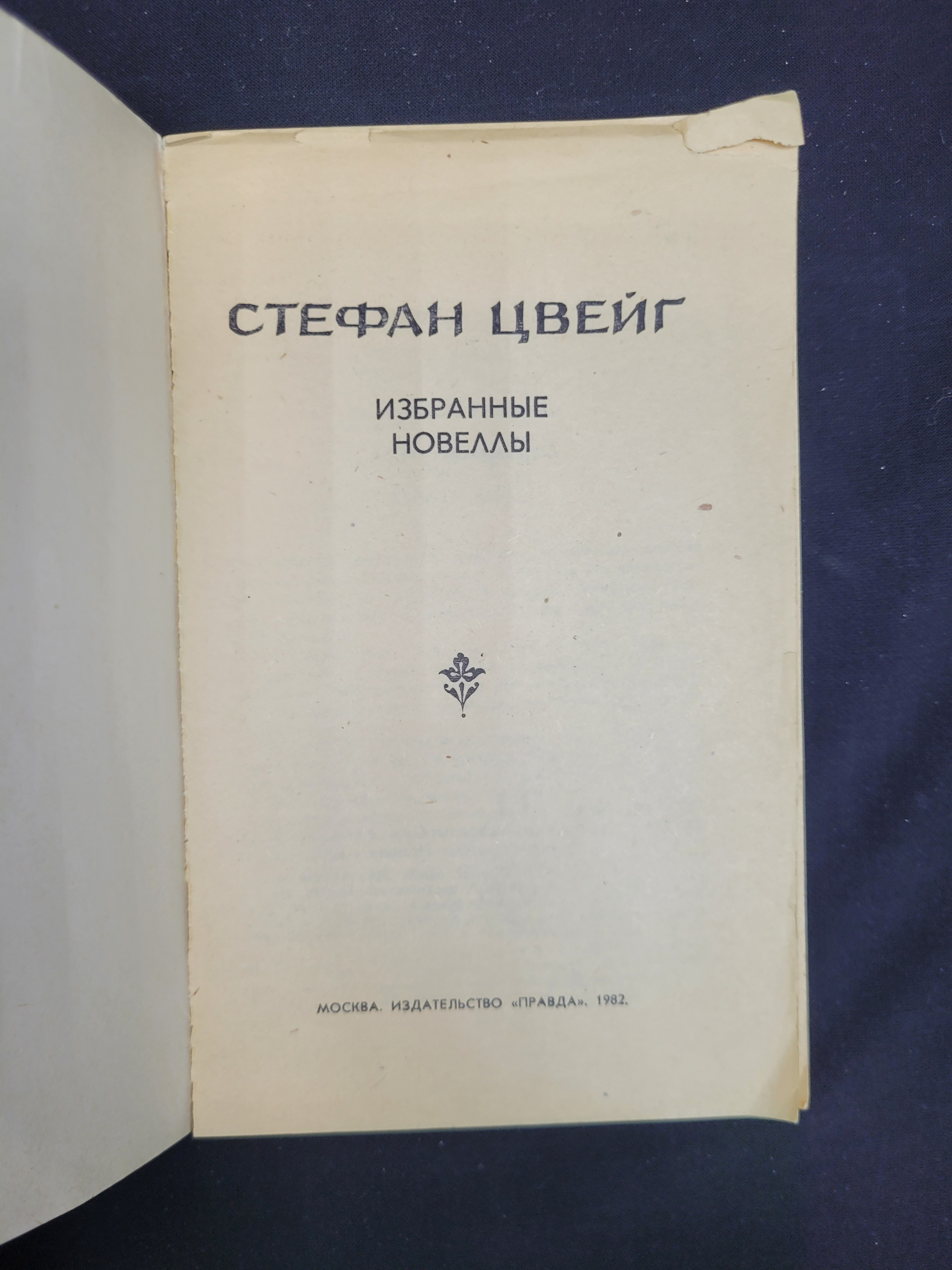 Картинка 4